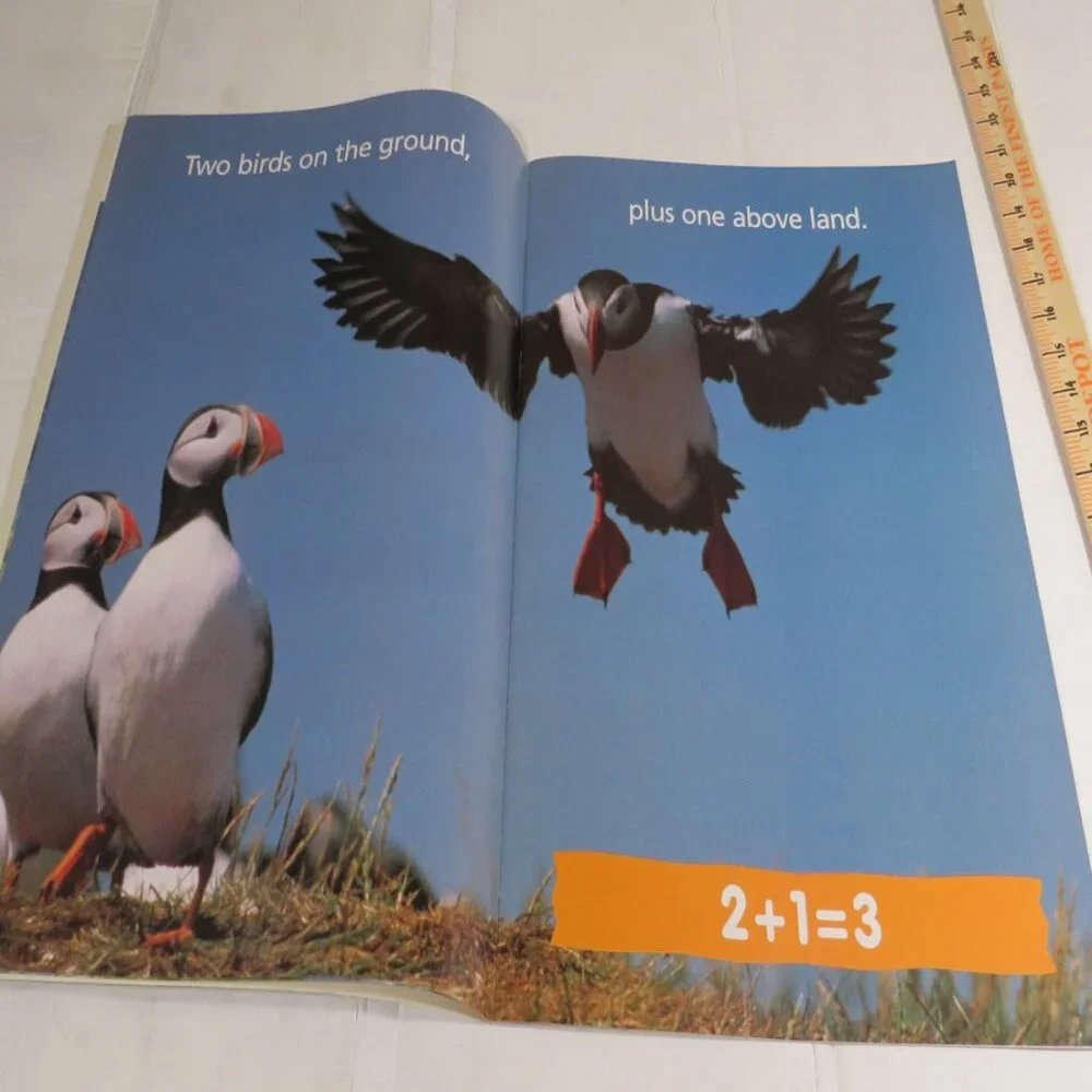 Adding Animals BIG BOOK (almost 2 feet tall) with teacher pages CLASSROOM SIZE